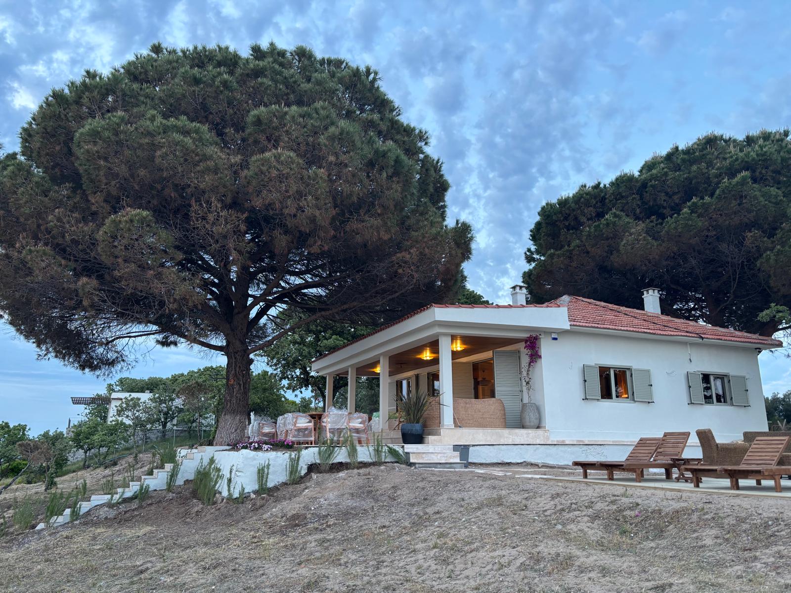 Çam ağacı altında beyaz kulüp binası
